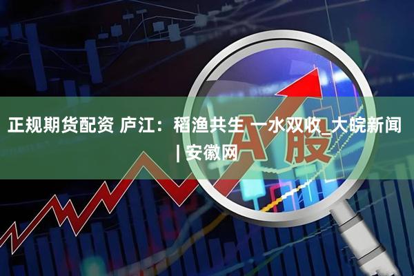 正规期货配资 庐江：稻渔共生 一水双收_大皖新闻 | 安徽网